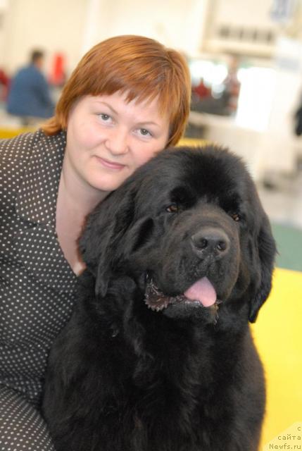 Фото: ньюфаундленд Aquatoriya Kelvin Zvezdnaya Koroleva (Акватория Келвин Звездная Королева), Tat'yana Abutova (Татьяна Абутова)