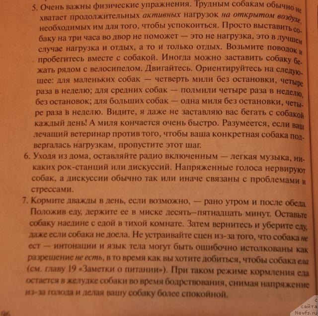 Фотография № 35655