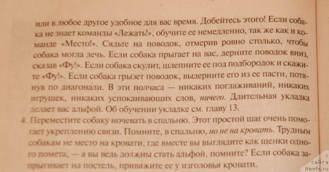 Фотография № 35656