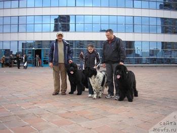 Фото: ньюфаундленд Plushevaya Panda Borislav (Плюшевая Панда Борислав)