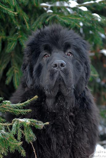 Фотография № 35668