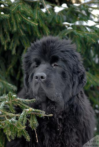 Фотография № 35669