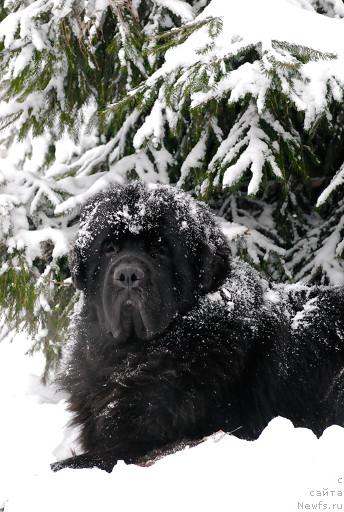 Фотография № 35672