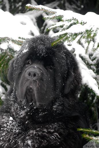 Фотография № 35675