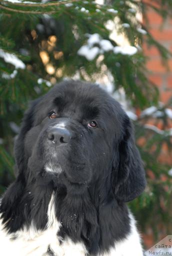 Фотография № 35680