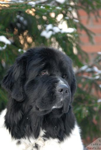 Фотография № 35681