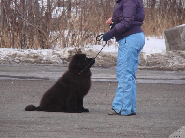 Фотография № 35690