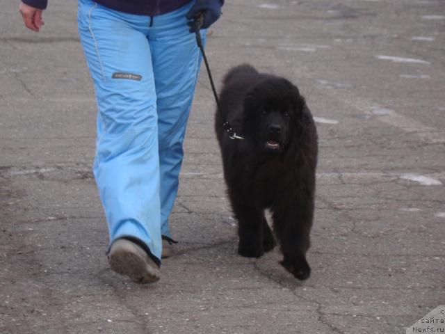 Фотография № 35691