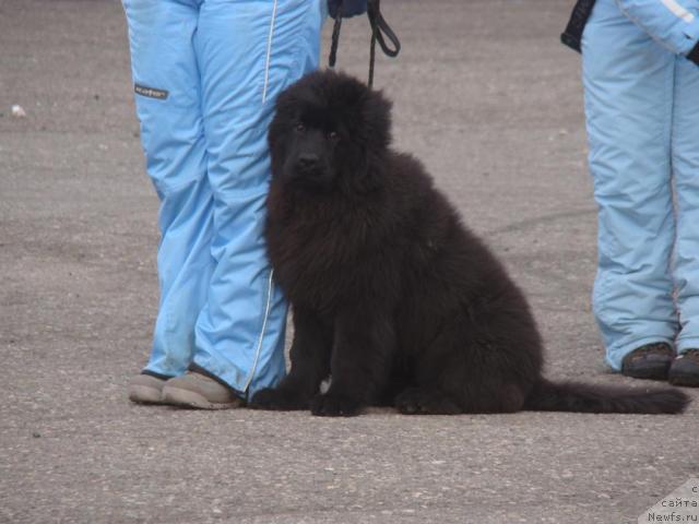 Фотография № 35692