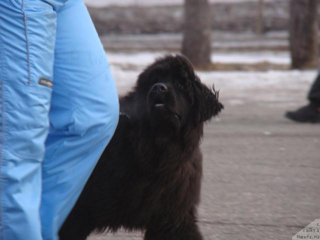 Фотография № 35693