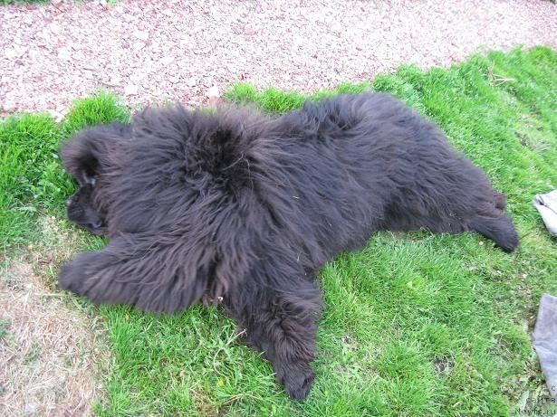 Фотография № 35746