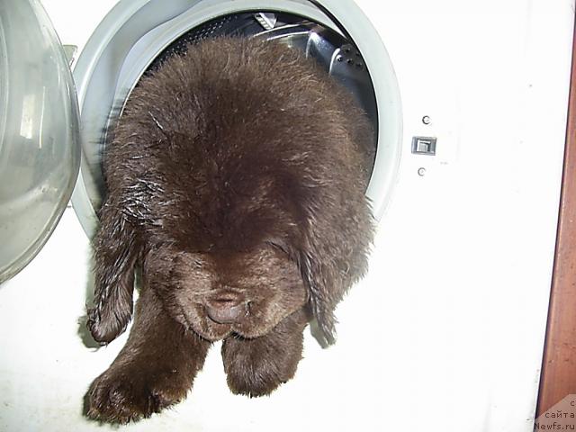 Фотография № 35782