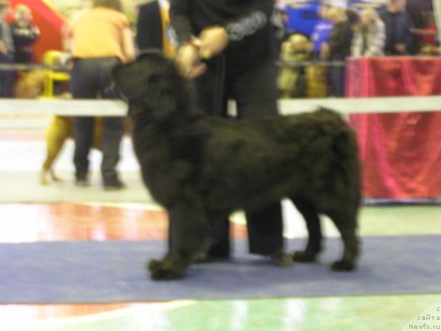 Фотография № 35824