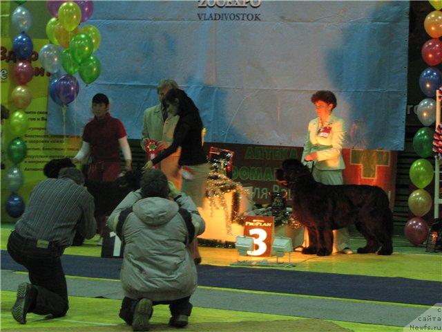 Фотография № 35830