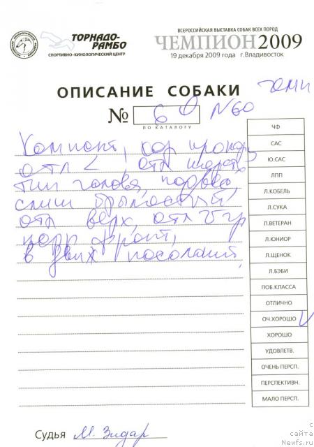 Фотография № 35833