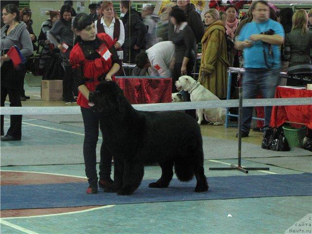 Фотография № 35834