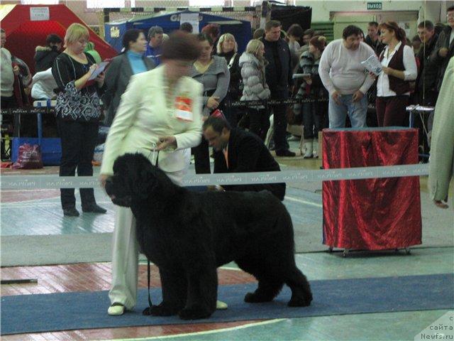 Фотография № 35835