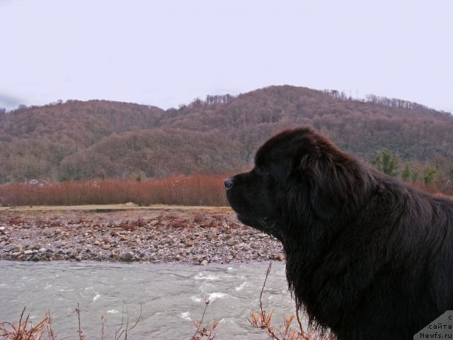 Фотография № 35848