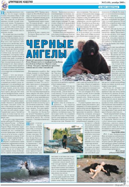 Фото: ньюфаундленд Pchiolkin Dom Vostorg Dushi (Пчёлкин Дом Восторг Души), ньюфаундленд Talula Bell (Талула Белл)