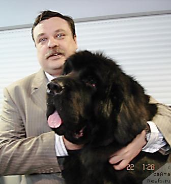 Фото: ньюфаундленд Cayuga Mescalero