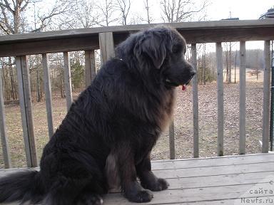 Фотография № 35917