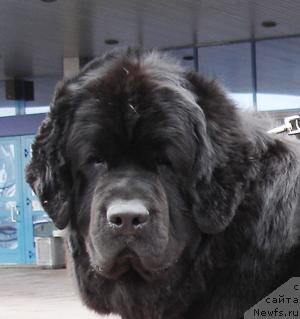 Фотография № 3592