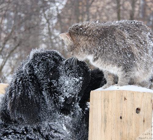 Фото: Потап Цеверон