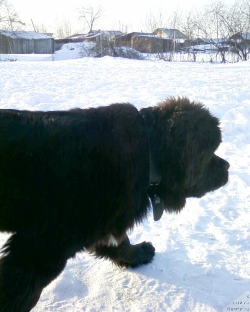 Фотография № 35929