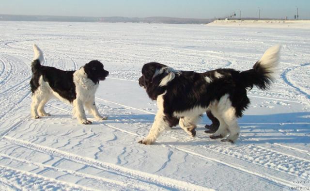 Фотография № 35942