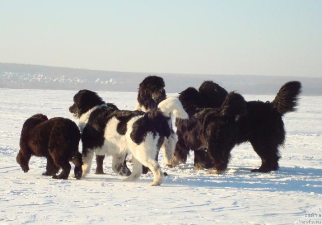 Фотография № 35950