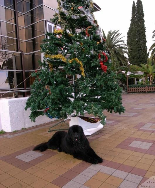 Фотография № 35958