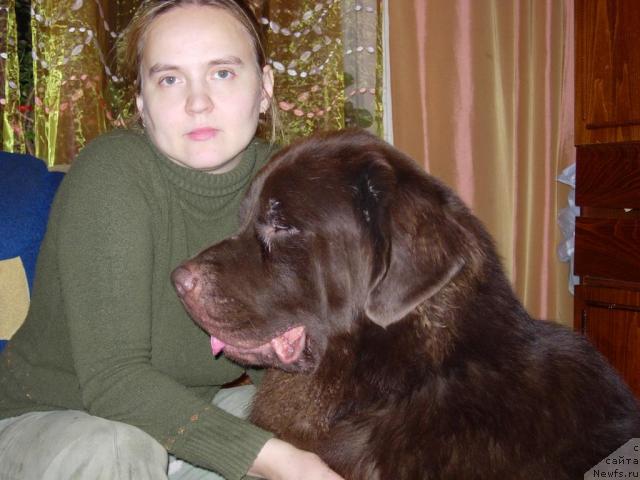 Фото: ньюфаундленд Konfuciy (Конфуций), Diana Larina (Диана Ларина)