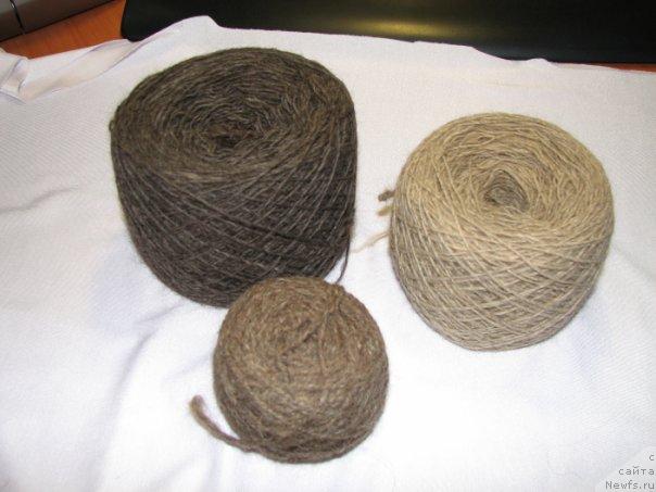 Фотография № 36009