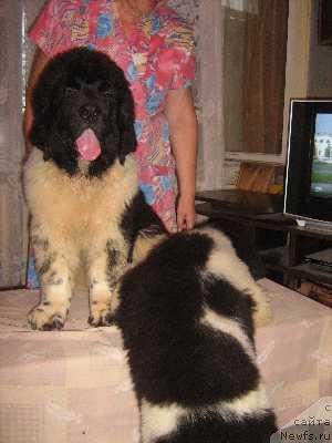 Фотография № 36015