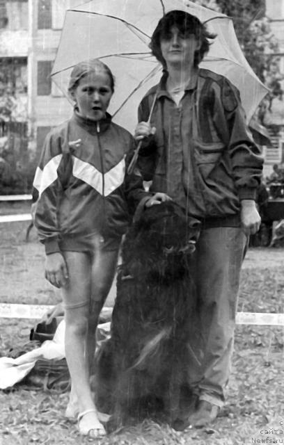 Фото: ньюфаундленд Gloryes Bartolomey (Глорэс Бартоломей)