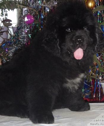 Фотография № 36267