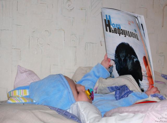 Фотография № 36282