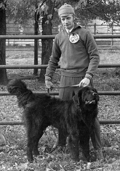 Фото: ньюфаундленд Glafi Roy (Глафи Рой)