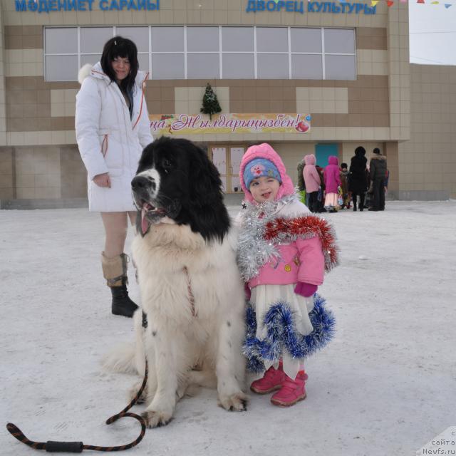 Фотография № 36381