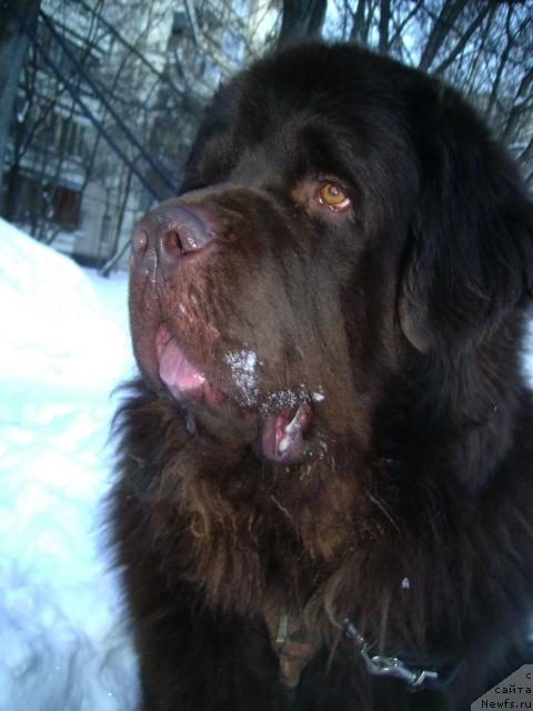 Фотография № 36490