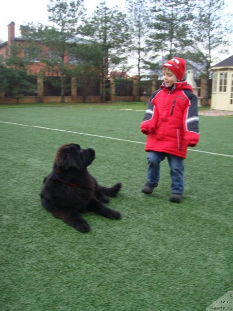 Фотография № 36521