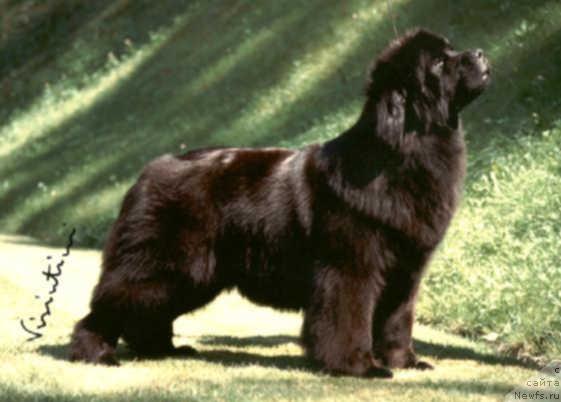 Фотография № 36541