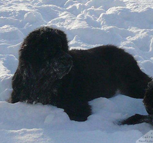 Фотография № 36566