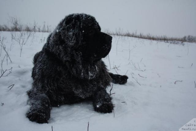 Фотография № 36671