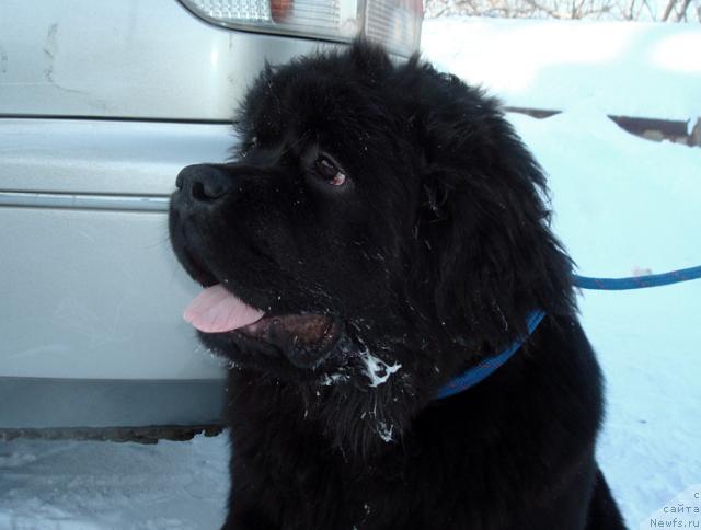 Фотография № 36695