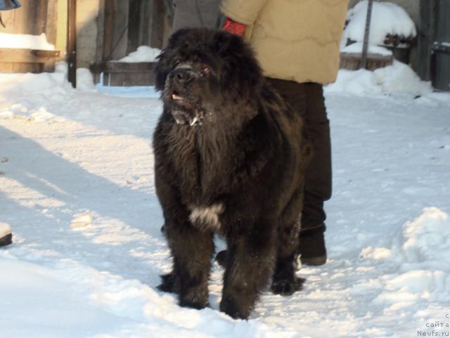 Фотография № 36696