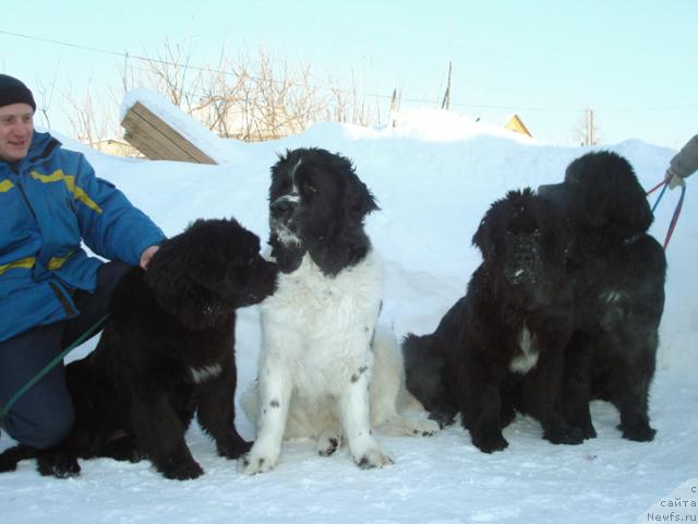 Фотография № 36698