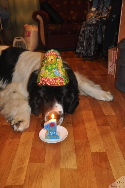 Фотография № 36718