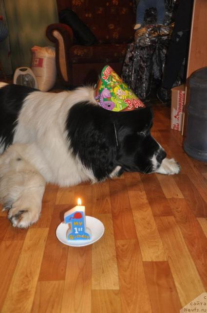 Фотография № 36720