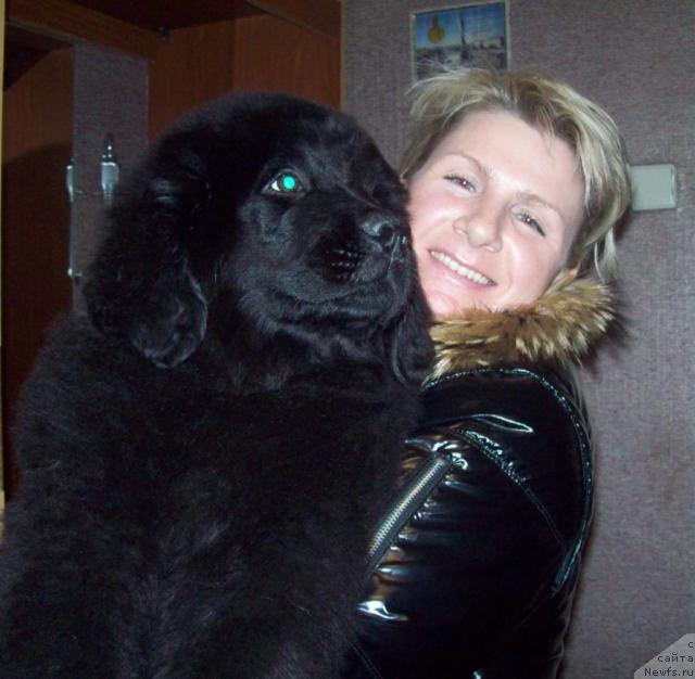 Фото: ньюфаундленд Osenniy Poceluy (Осенний Поцелуй), и Алла